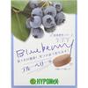 HYPONeX JAPAN Tablet Fertilizer Series for Blueberries, 30 Tablets (10 Tablets X 3), Just Place
