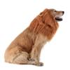 Dog Wig, Pet Wig, Pet Wig, - Pullover, Dog Pullover, Dog Pullover, - Pullover