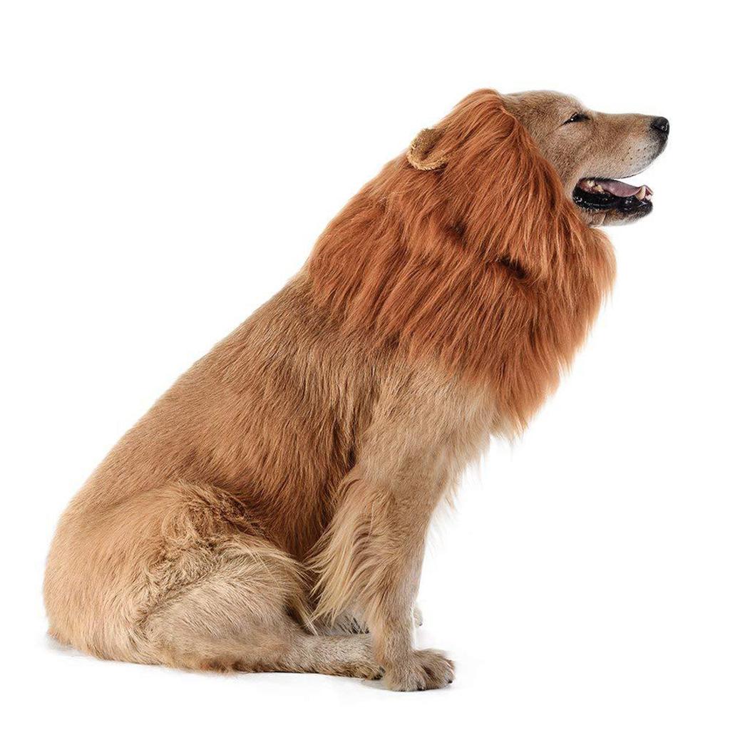 Dog Wig, Pet Wig, Pet Wig, - Pullover, Dog Pullover, Dog Pullover, - Pullover