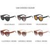 2026 New Cat Eye Large Frame Sunglasses, European American Ins Trendy Outdoor Retro Sun Glasses, UV Protection Eyewear for Daily Outfit