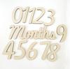 Wooden Baby Milestone Calendar & Photography Props for 100 Days and Monthly Celebrations