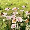 2pcs Flower Bee Sugar Feeders Butterfly Water Ceramic Feeders For Outdoor Bee Feeding Indoor Decoration Gardening Accessories
