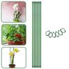 6Pcs/12pcs Plant Support Stakes with Rings Floral Arrangements Growing Vegetables Green Plant Support Sticks Garden Supplies