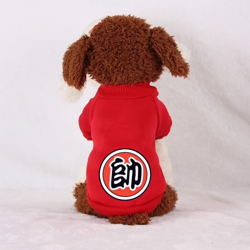 

Autumn & Winter Sweatshirts for Cats and Dogs - Two-Legged for Teddy, Corgi, Bichon, Small Dogs, Puppies, and Cats. L