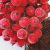 Decorations Home Artificial Fruit Berries DIY Stage Garden Holiday Party Craft Decor