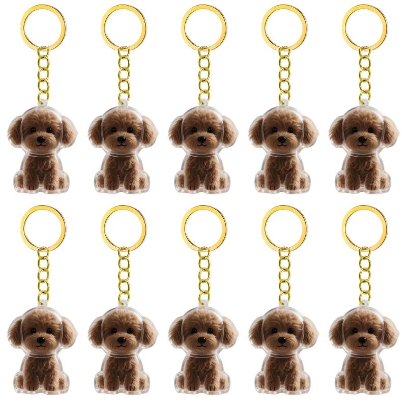 2/3/4/5/10 Pezzi Portachiavi Memoriale per Animali Domestici Con Raccoglitore Peli Trasparente Regalo Perfetto Per Proprietari di Gatti e Cani in Lutto Portachiavi Ricordo