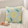 Soft Fruit Design 2-in-1 Pillow Blanket