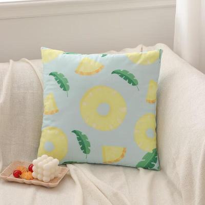 Soft Fruit Design 2-in-1 Pillow Blanket
