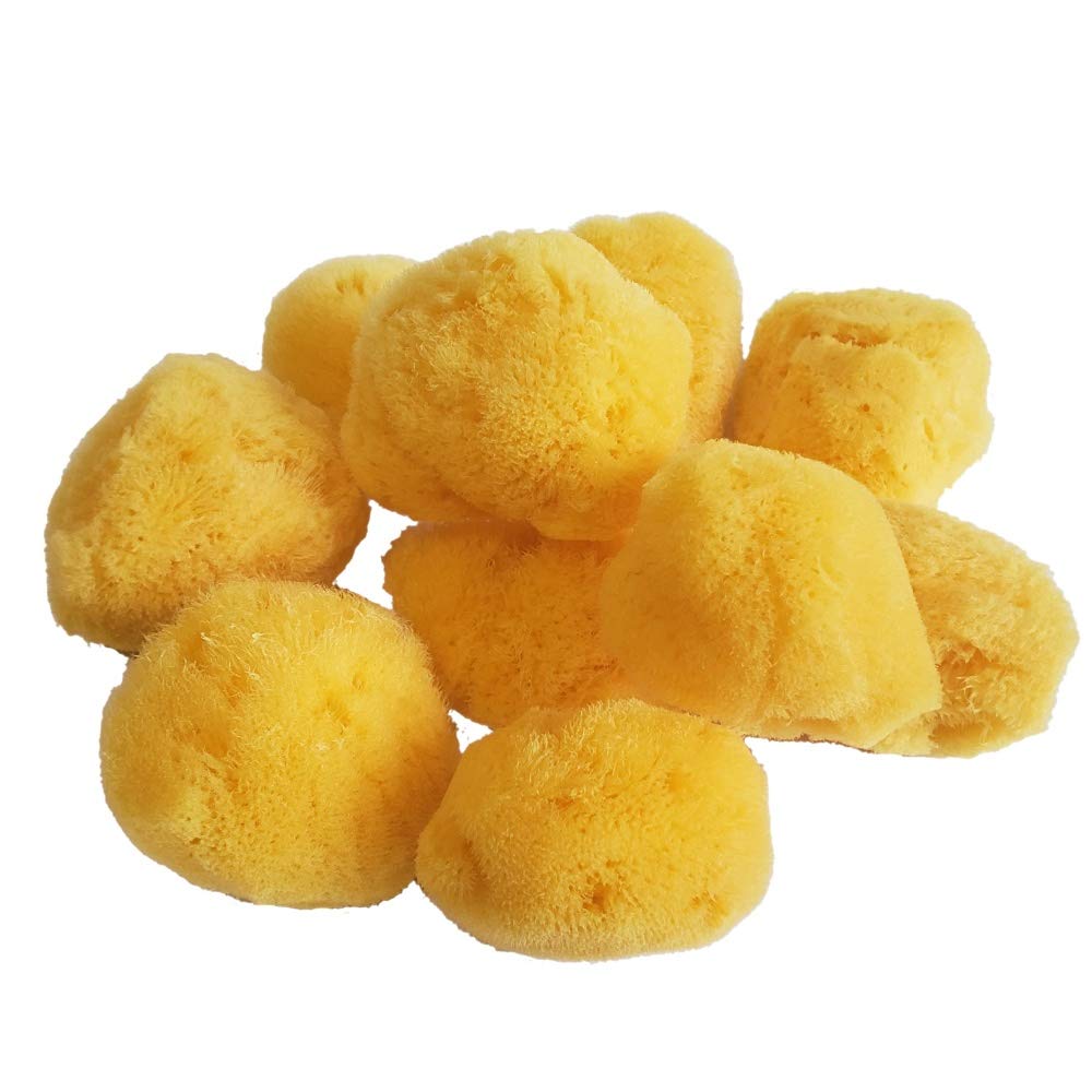 

Натуральный вид губчатого шелка (2~3 см)