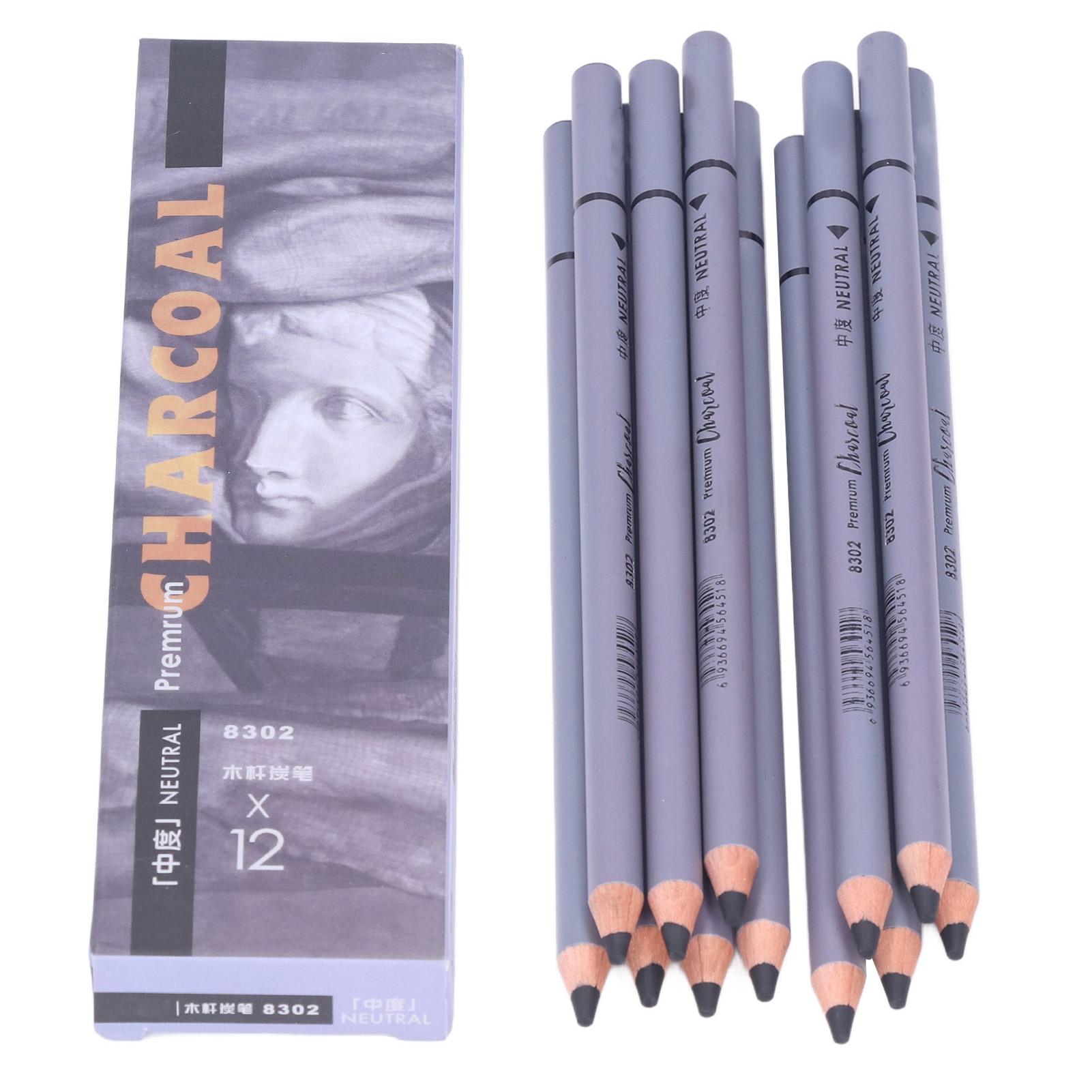 

12Pcs Charcoal Pencils Flexible Write Smoothly Easy to Use Charcole Art Supply for Detailed Drawing
