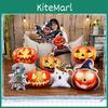 Entzückendes Halloween-Kürbis-Plüschkissen-Spielzeug mit gruseligen Designs für festliche Dekoration und Geschenke