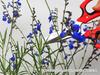 Gardening Sharp and precise blades for cutting thin stems and and even tying Ideal for all kinds of Gardening Shears shears twigs, strings.