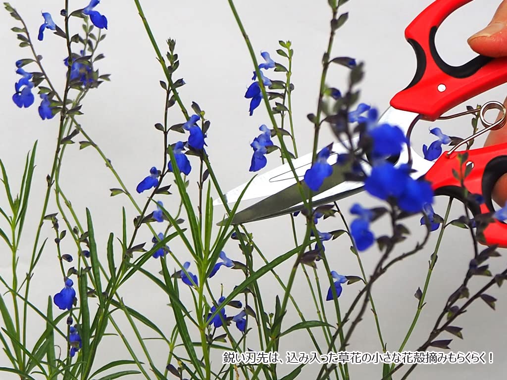 Gardening Sharp and precise blades for cutting thin stems and and even tying Ideal for all kinds of Gardening Shears shears twigs, strings.