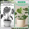Plants Stem Support Plastic Trellis Easy Installation Vine Plants Trellis  Adjustable Reusable Holder Protective Plant Stabilize