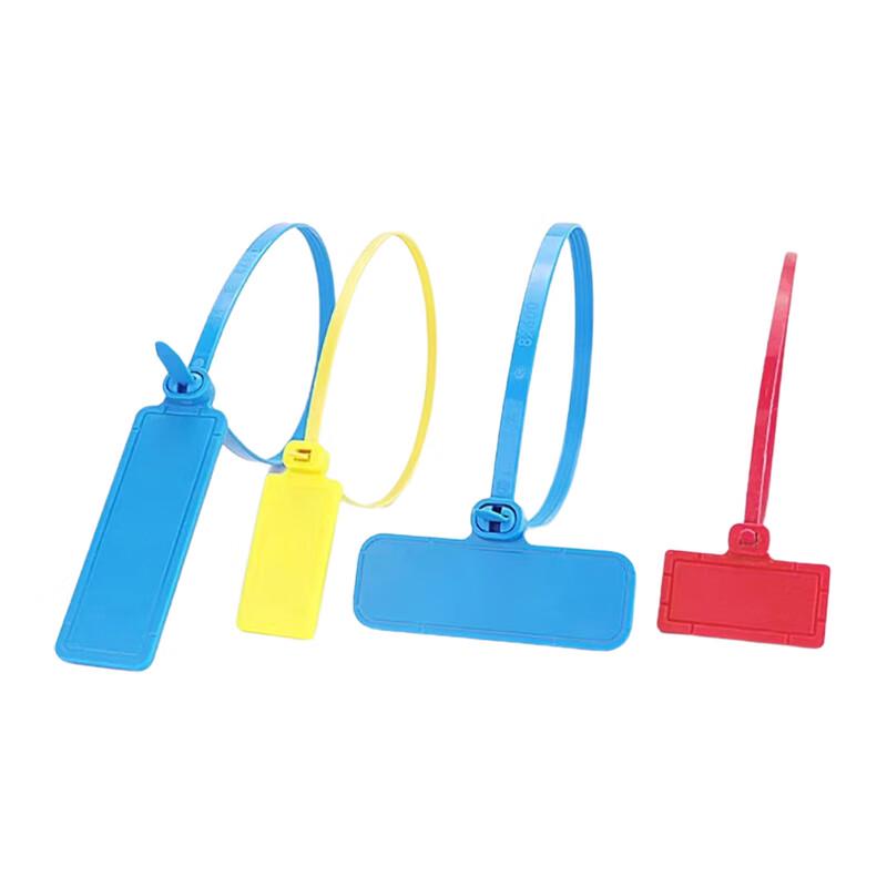 LANXUM RFID Pendant Tag CN plug (adapter included)