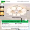 2025 Modern Minimalist Head-Shaking Fan Light for Living Room