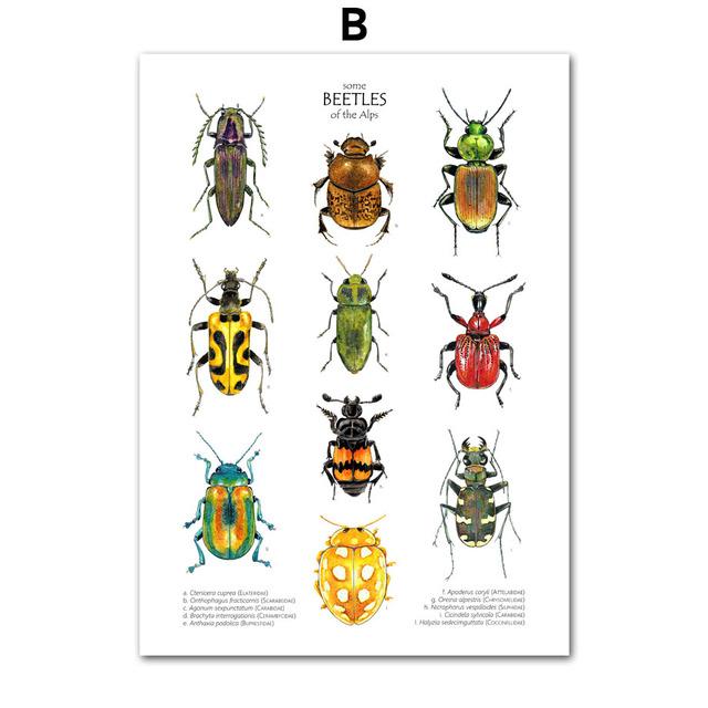 Insekten Vogel Schmetterling Safari Tier Bildung Poster Und Drucke Leinwand Kunst Kindergarten Wand Dekoration Hause Gemälde Baby Kinder Zimmer