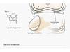 Six Rabbits Women's Push-Up Wire-Free Soft Support Bra, Small Bust, Anti-Sagging, Side Support