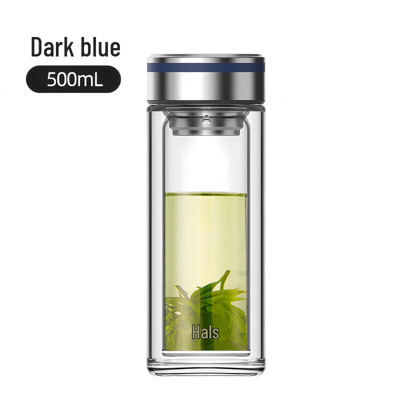HAERS Double-Wall Borosilicate Glass Tea Infuser Bottle 500ml
