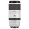 Canon RF100-500mm F4.5-7.1 L IS USM Super Telephoto Zoom Lens