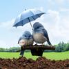 Lovely Bird with Umbrella Acrylic Garden Stake Weatherproof Outdoor Decors Waterproof Sign