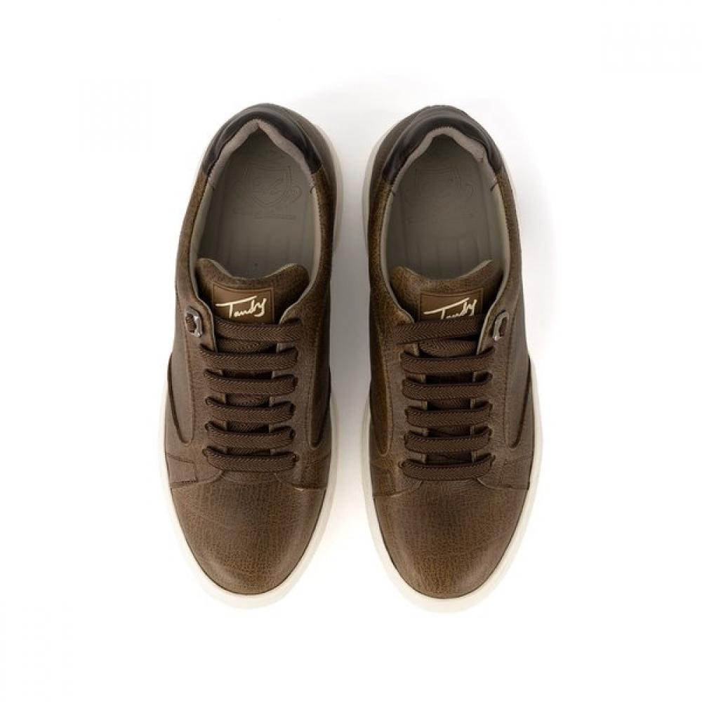 Tandy Men S SneakerS  516652  Ca 1202 