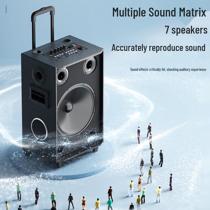 Newsmy N530 12-inch Portable Karaoke Trolley Speaker (CN Version)