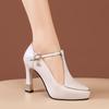 Pointed One-word Buckle Thick-heeled Fashion Single Shoes Women's 2025 Spring New British Style Large Size Foreign Trade High-heeled Work Shoes