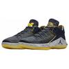 Jordan Xxxii Low Michigan AA1256-405