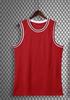 Slam Dunk Classic Jersey Set: Hanamichi Sakuragi #10 & Kaede Rukawa #11 - Customizable Basketball Uniform