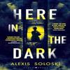 Here In the Dark by Alexis Soloski Hardback Book 9781526661210