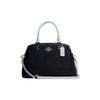 Lillie 26 Snap Closure Crossgrain Leather Shoulder Crossbody Mini Bag Women Handbags Black CD935-SVF23