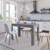 Day and Night - Day and Night Gray Engineered Wood Dining Table 120x60x76 Cm