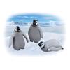TAKARA TOMY Emperor Penguin Animal Dinosaur Realistic Moving Figure Toy Ages 3 and Up Passes Toy Safety Standards ST Mark Certification ANIA TAKARA