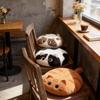 Cartoon Cat Thick Plush Cushion Kawaii Kitty Plushie Throw Pillow Soft Seat Cushion Home Decoration for Friends Birthday Gift