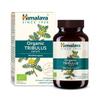 Tribulus - 60 Caplets