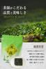 Seisen-en Honten Gyokuro Tea Bags, Kyoto Uji, Easy-to-Make Green Tea, 15 Tea Bags, Generous Gyokuro Tea, Premium Leaf Tea, Easy To Brew, Delicious