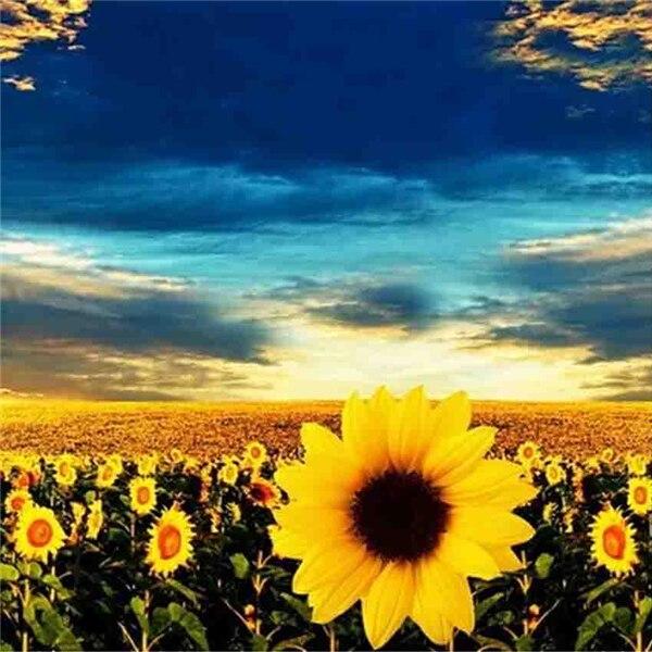  Full Square/Round Diamond Painting Sunflower 5D DIY Diamond Embroidery Cross Stitch Flower Needlework Wall Art