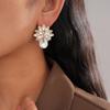 Light Luxury Diamond Water Drop Flower Silver Needle Earrings Fashion Personality Earrings Sense Earrings