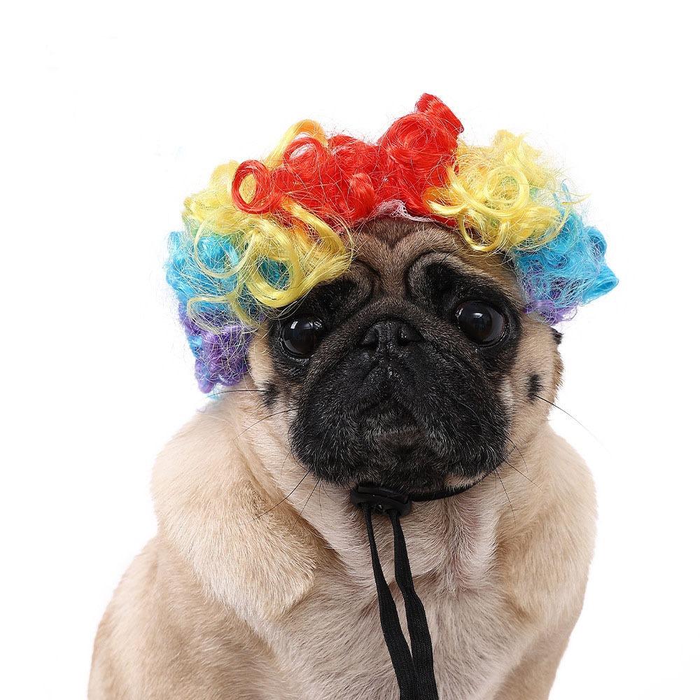 Kreative Lustige Haustierperücke Verstellbares Afro-Design Hundeperücke Elastisches Banddesign Katzenperücke Haustier Cosplay Requisiten Fotografie Scherzgeschenke