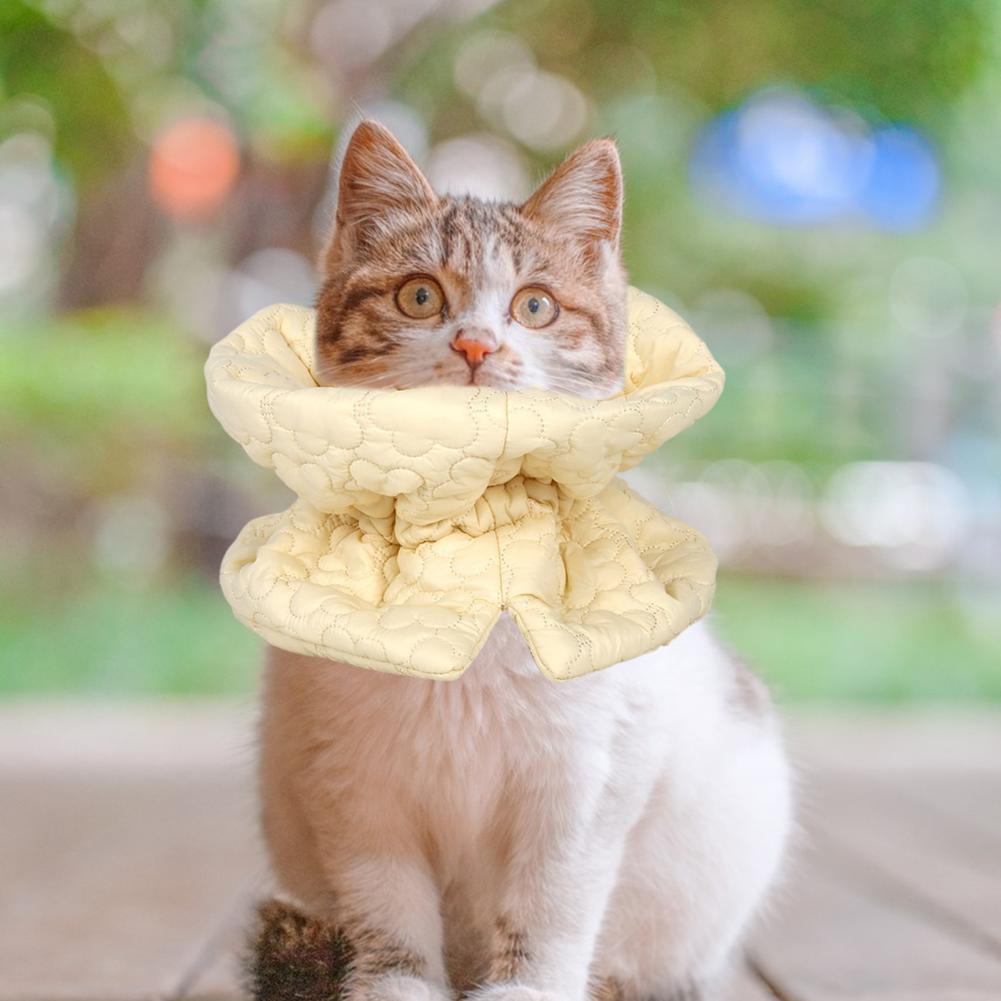 Haustier-Erholungshalsband Haustier-Kegelhalsband Blumenbesticktes Katzen-Erholungshalsband für kleine Katzen Verstellbarer Kegel zum Verhindern von Lecken Beißen