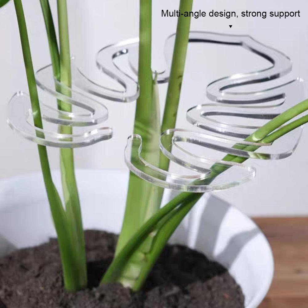 Various Shapes of Plant Racks Flower Shaped Plant Support Piles Indoor Outdoor Plant Growth Large Turtle Backed Bamboo Branches