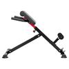 Roman Chair Back Extension Hyperextension Bench Adjustable Foldable Gym