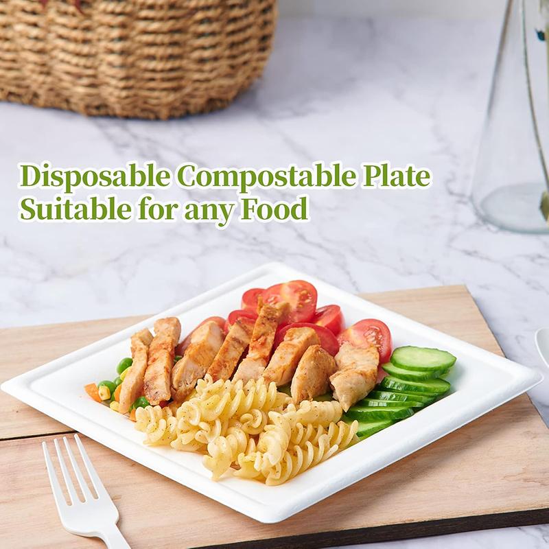 60Pcs Compostable Paper Plates, Disposable Square Plates, Eco-Friendly Biodegradable Bagasse Utensils Tray for Party Dinner