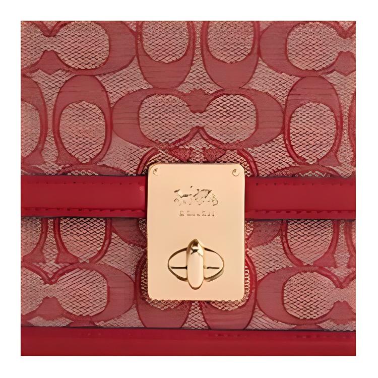 Coach Hutton 21 Monogramm Leder Kleine Quadratische Kettentasche Damen Taschen Rubin CZ491-IMRBY
