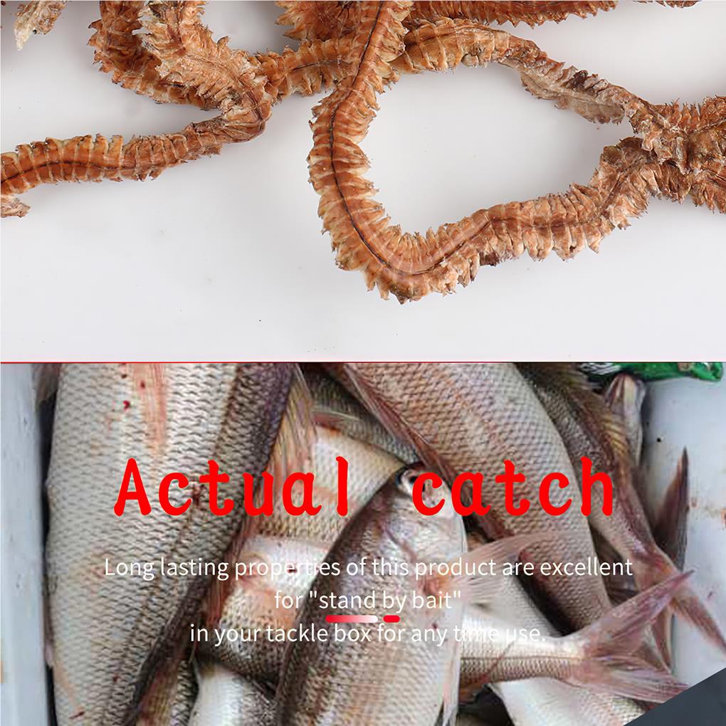 1 sáček suchých rybářských návnad s písečnými červy, ekologické, snadno použitelné, atraktivní, venkovní, vhodné pro vodní živočichy, lákavé použití 10 g