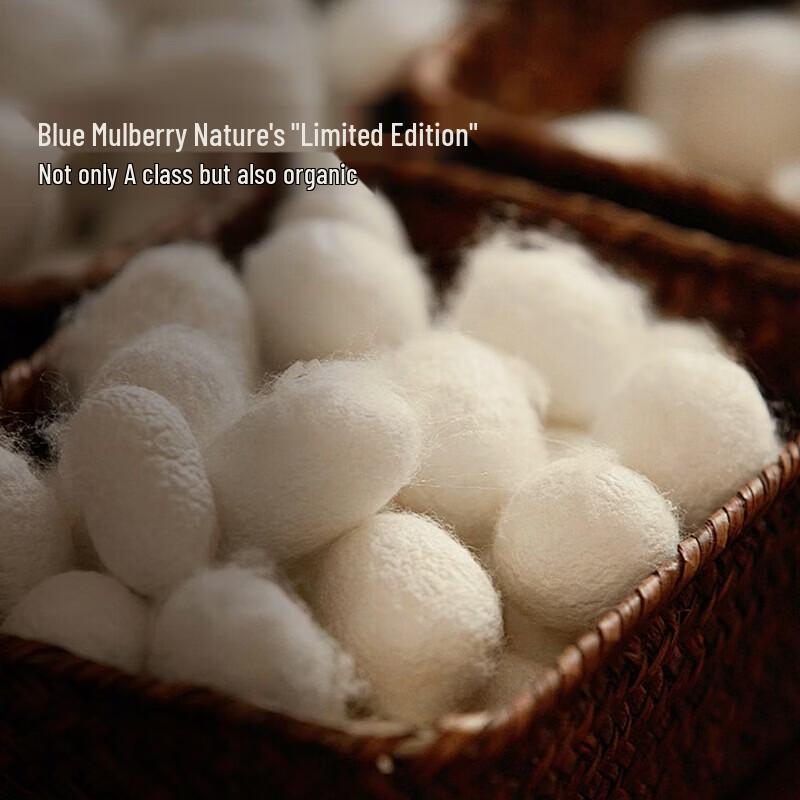 Mercury Home Textiles 'Time' Series Natural Mulberry Silk Jacquard Quilt