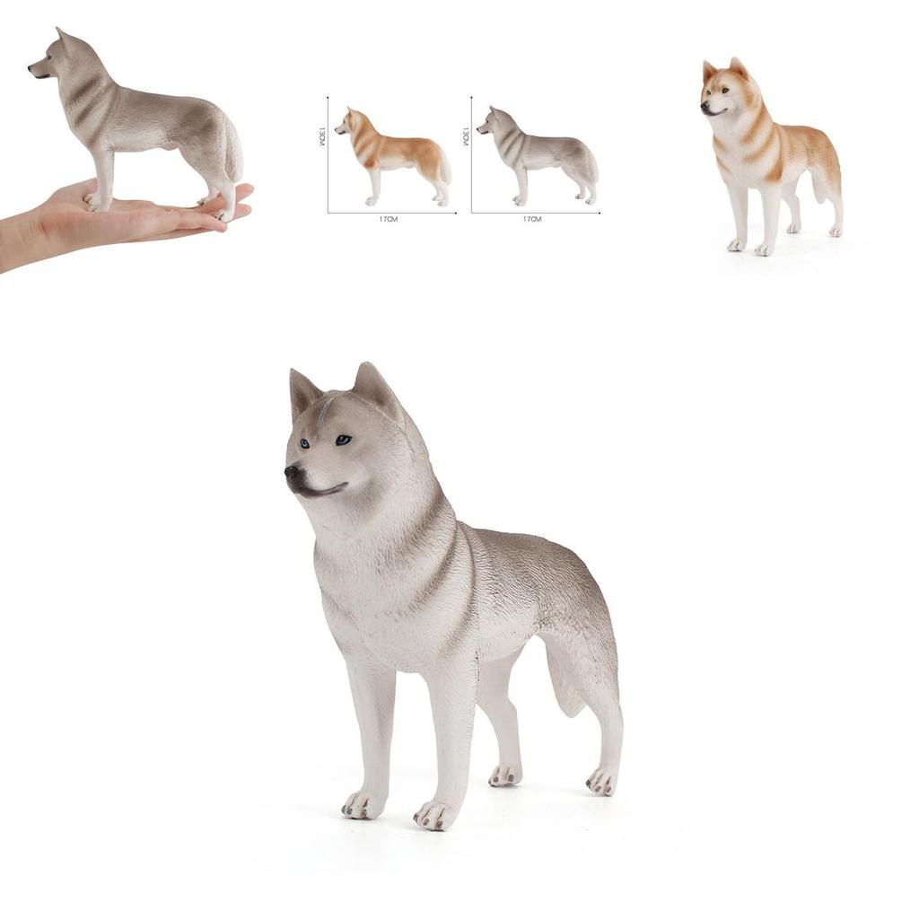 Modellino di Husky in PVC, Statuetta da Collezione per Arredamento Casa e Regalo