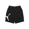 Puma Vibrant Youth Casual Shorts Men's Moderate 846007-01