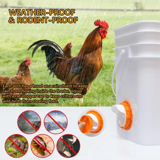 

Feeders High Capacity Easy to Clean Water Proof Long-lasting Use Rodent-Proof Automatic Gravity Feed